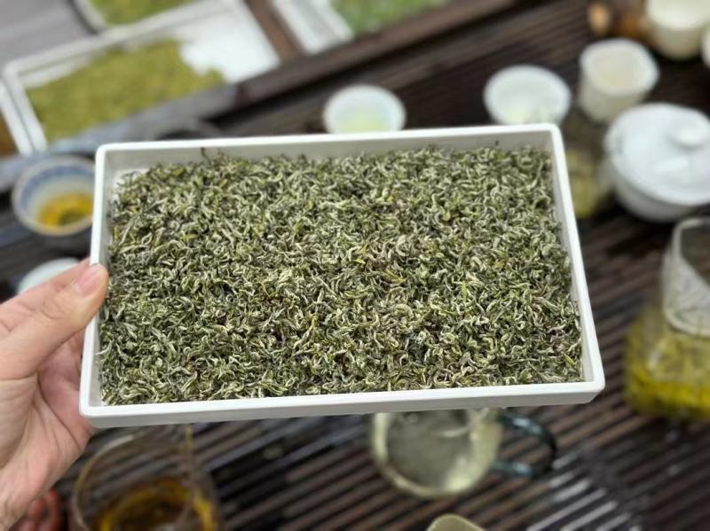 四川头采蒙顶甘露2023绿茶