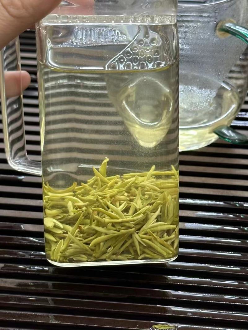四川头采蒙顶甘露2023绿茶