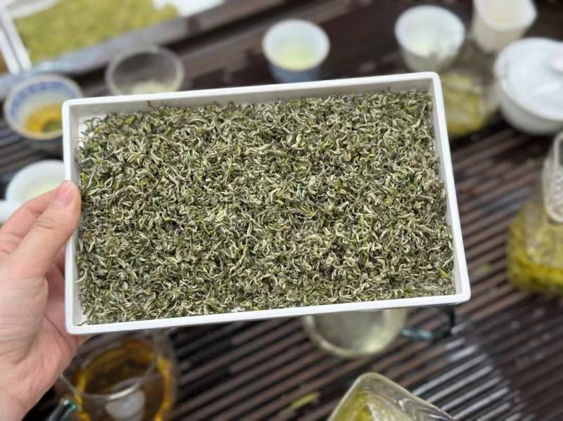 四川头采蒙顶甘露2023绿茶