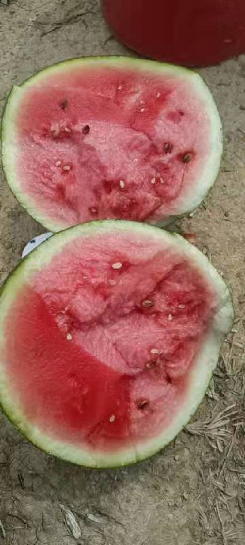 云南的甜王