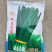 韭菜种子太空神剑宽叶韭菜种籽直立性好高产耐寒耐高温蔬菜种