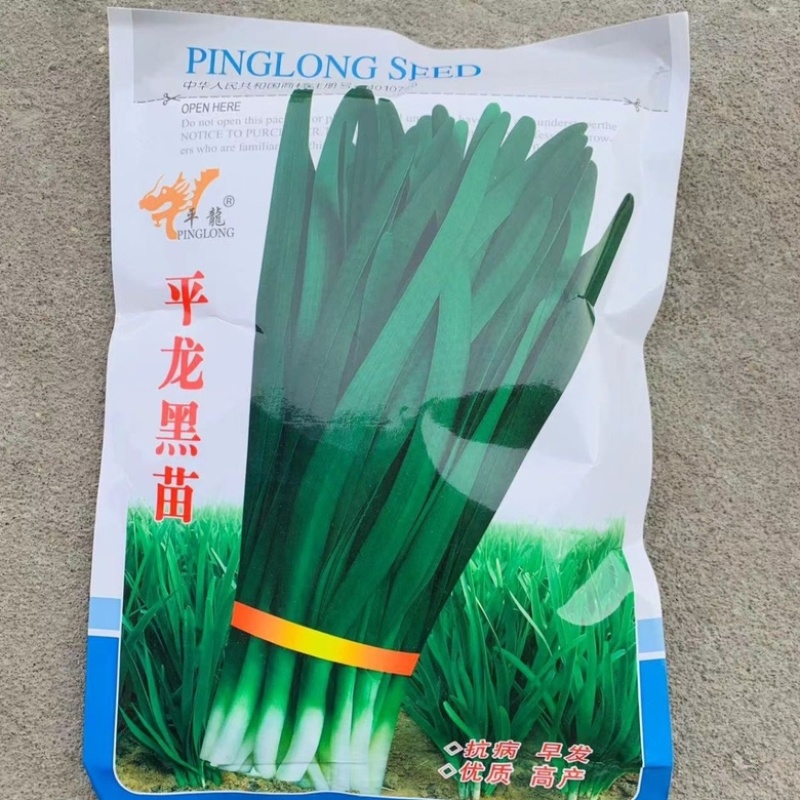韭菜种子太空神剑宽叶韭菜种籽直立性好高产耐寒耐高温蔬菜种