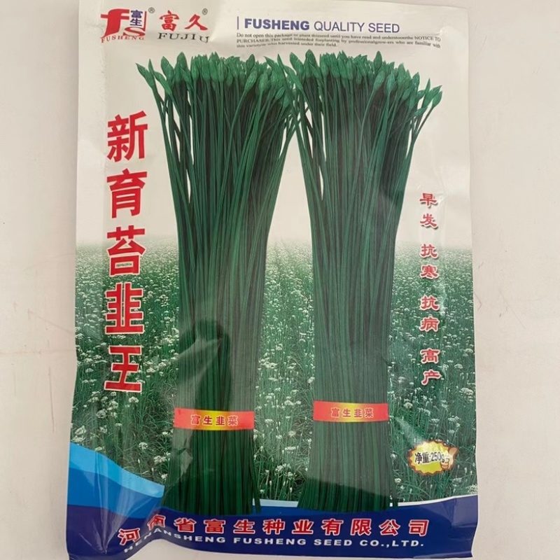 苔韭种子，四季苔韭，中华苔韭菜种子厂家直销欢迎咨询