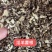 【文斌药业】淫羊藿根干净无杂质地道药材