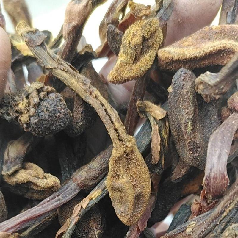 回春草野生回春草干货无根质量保证质量货干货支持快递物流