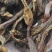 回春草野生回春草干货无根质量保证质量货干货支持快递物流