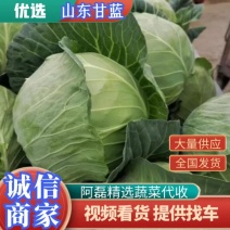 产地直销大量供应优选基地适应，大型加工厂，市场