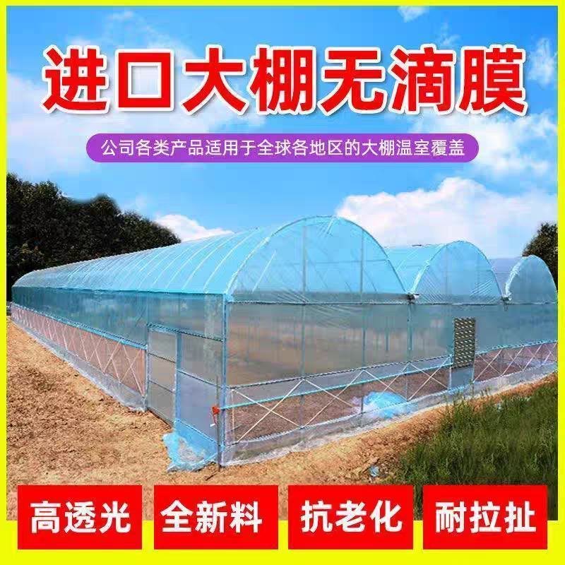 抗老化大棚塑料膜，长寿无泥膜po膜透明加厚塑料布蔬菜