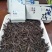 武夷岩茶牛栏坑肉桂正岩肉桂250g包邮