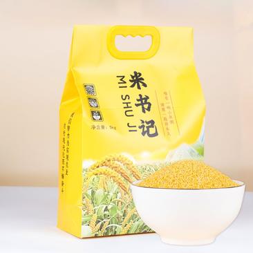陕北米脂油小米，黄小米