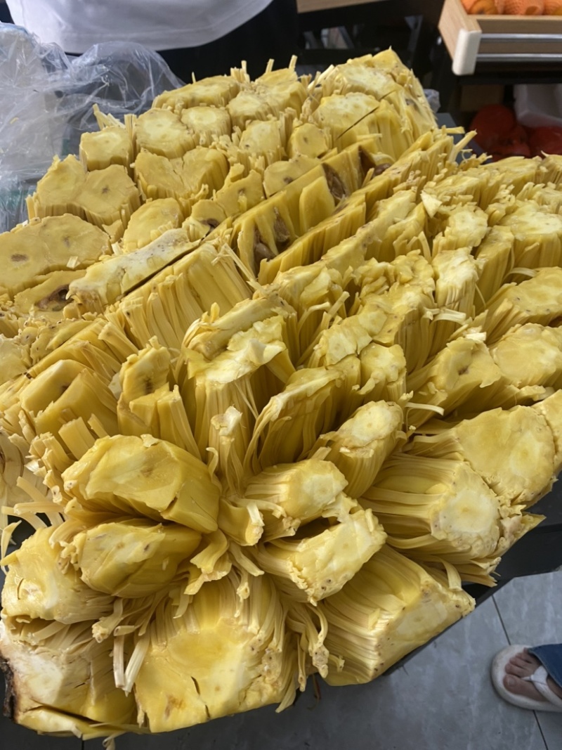 【优质产品】广东马来一号菠萝蜜大量上市