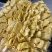 【优质产品】广东马来一号菠萝蜜大量上市