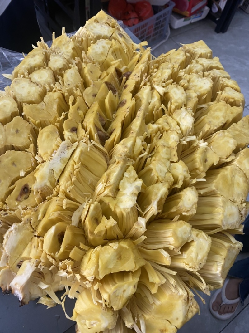 【优质产品】广东马来一号菠萝蜜大量上市