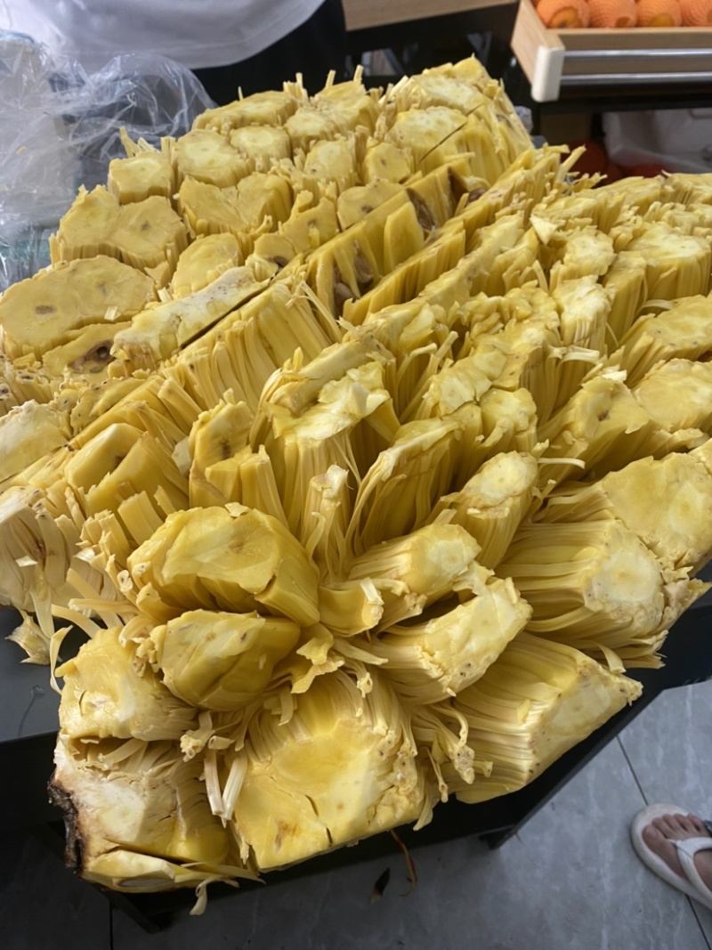 【优质产品】广东马来一号菠萝蜜大量上市