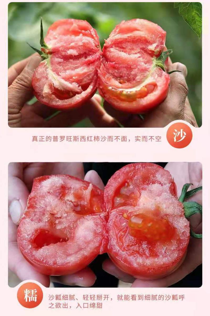 西红柿