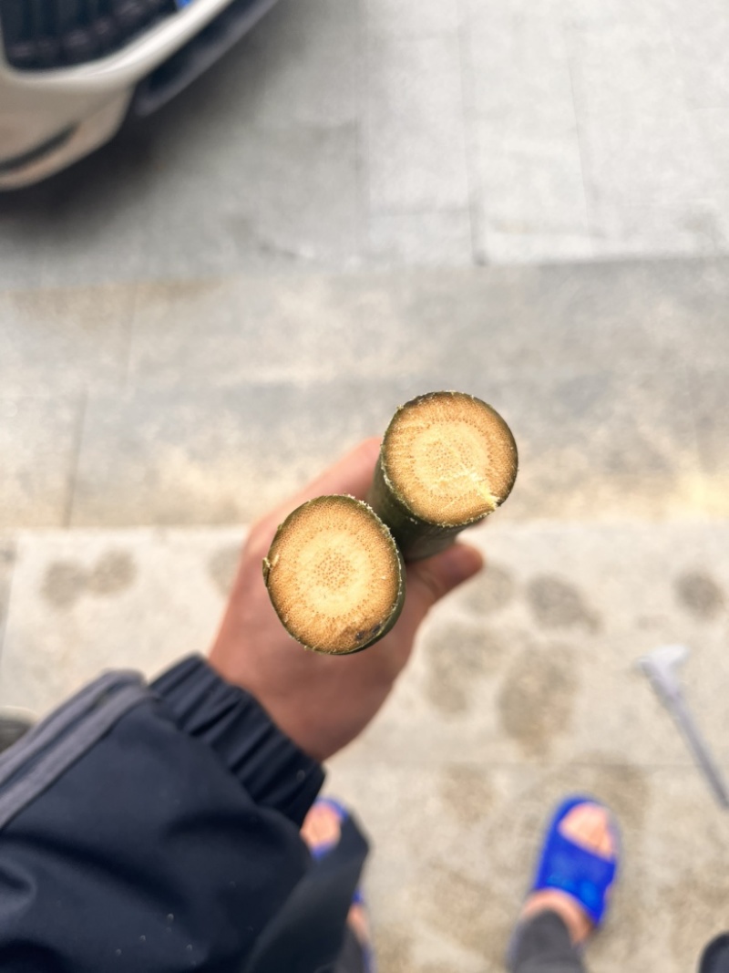 实心竹各种规格发往全国可视频看货欢迎咨询