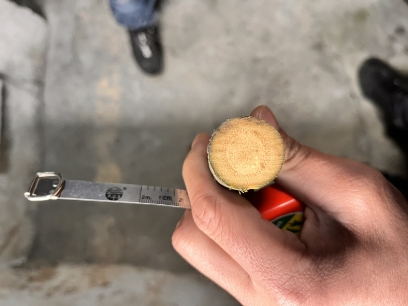 实心竹各种规格发往全国可视频看货欢迎咨询
