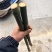 实心竹各种规格发往全国可视频看货欢迎咨询