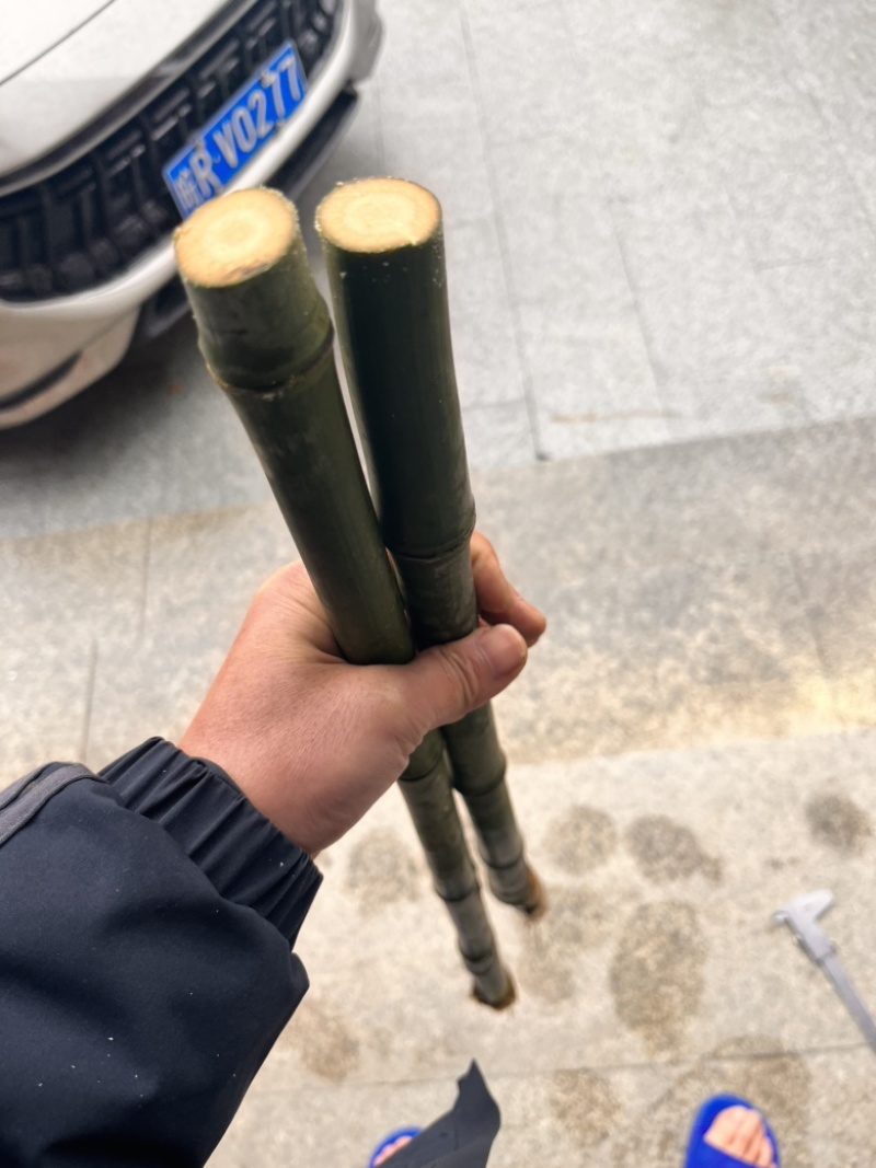 实心竹各种规格发往全国可视频看货欢迎咨询