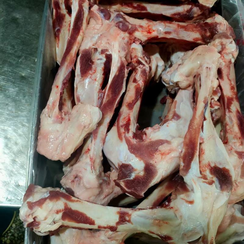 母猪前后腿骨每天生产现货