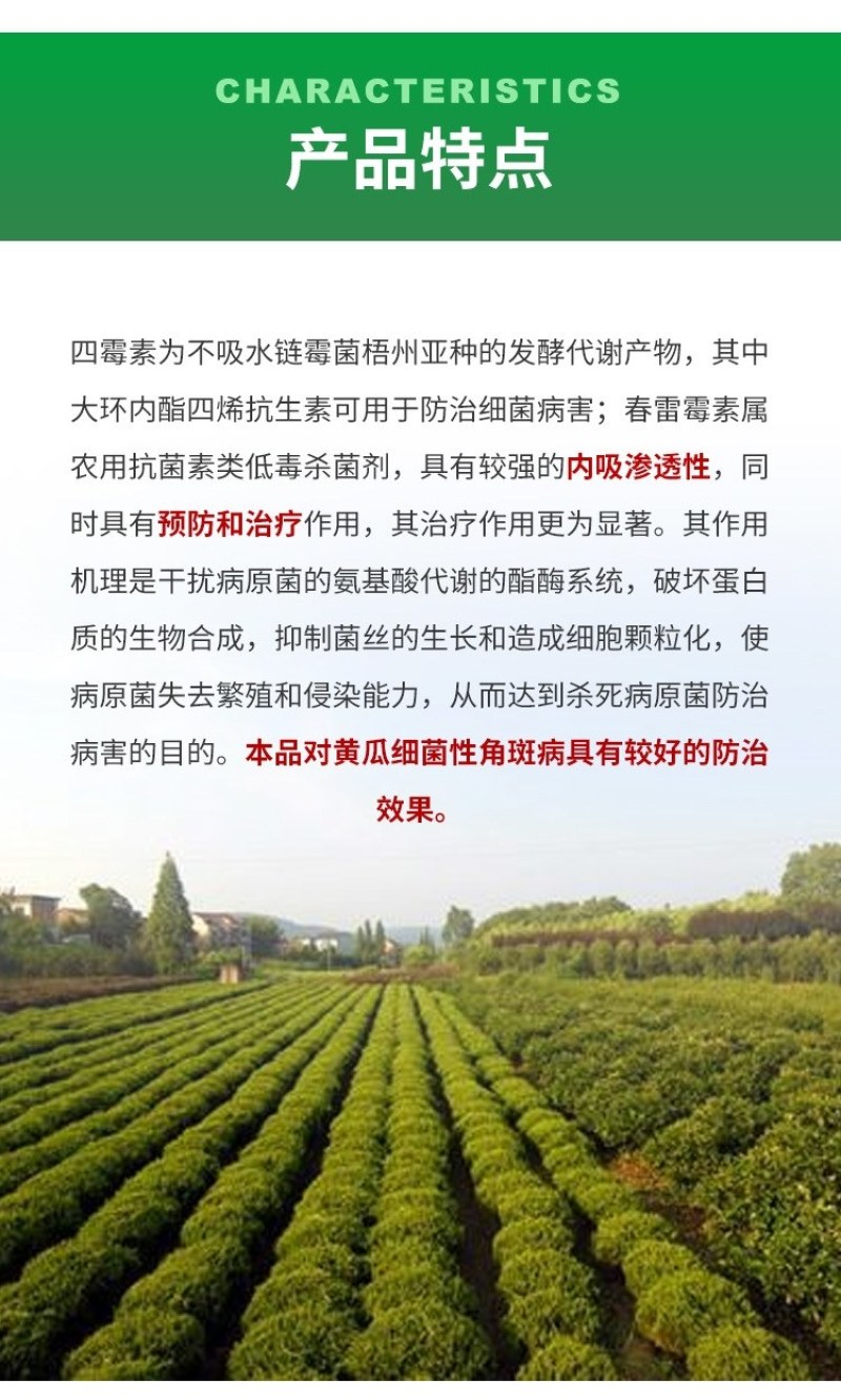 细刃2%春雷霉素四霉素果树黄瓜桃树梨树细菌性角斑病流胶病
