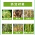 细刃2%春雷霉素四霉素果树黄瓜桃树梨树细菌性角斑病流胶病