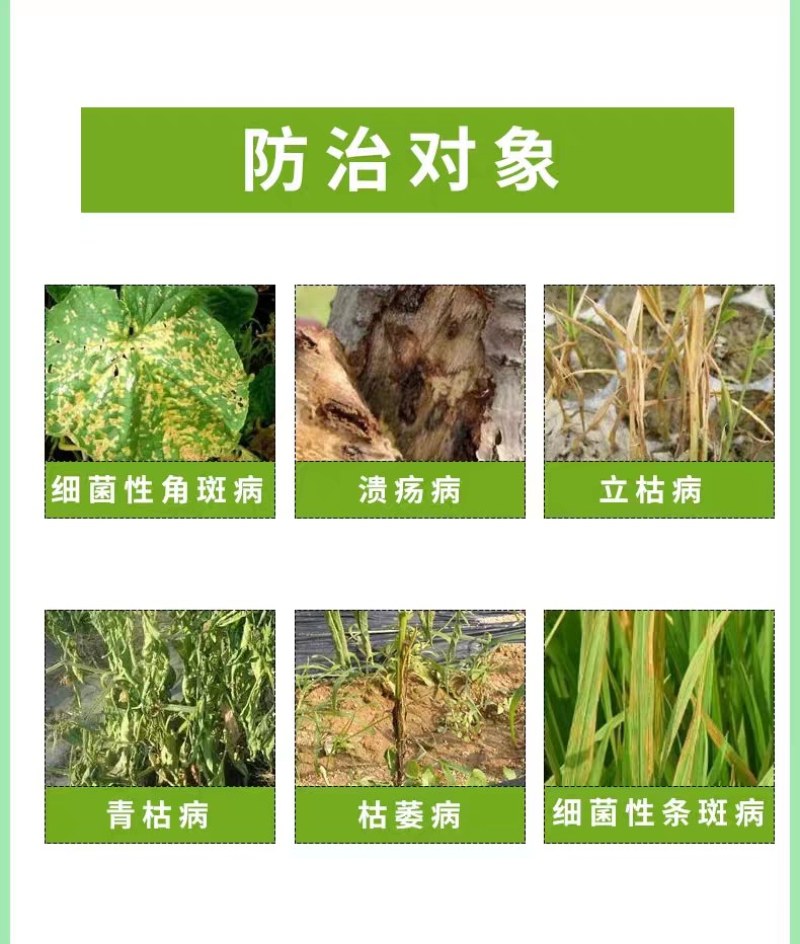 细刃2%春雷霉素四霉素果树黄瓜桃树梨树细菌性角斑病流胶病