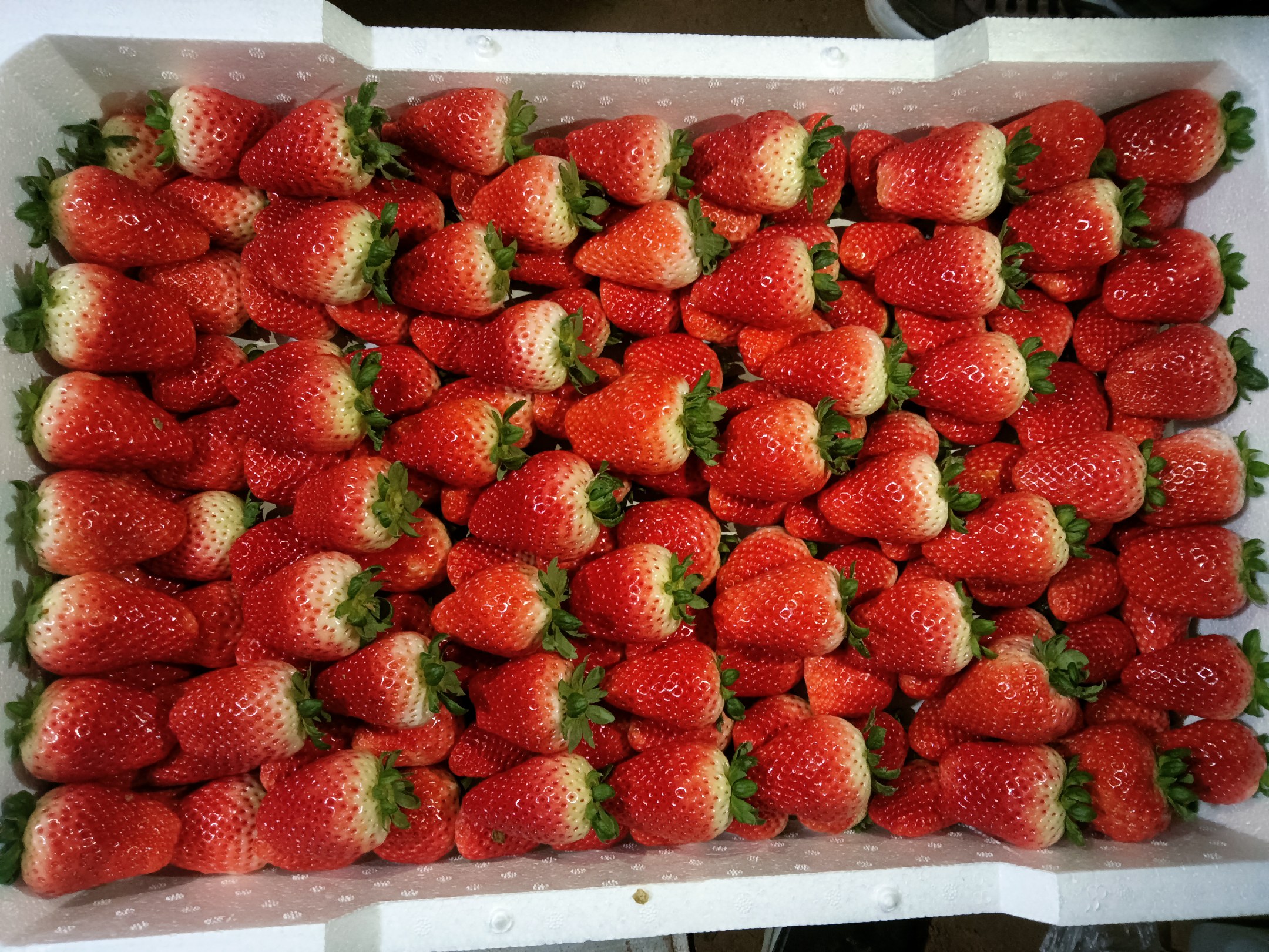 妙香草莓特写