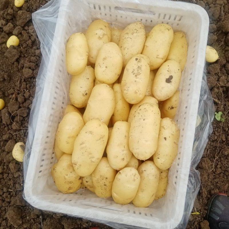 土豆、毛豆、辣椒、