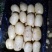 土豆、毛豆、辣椒、