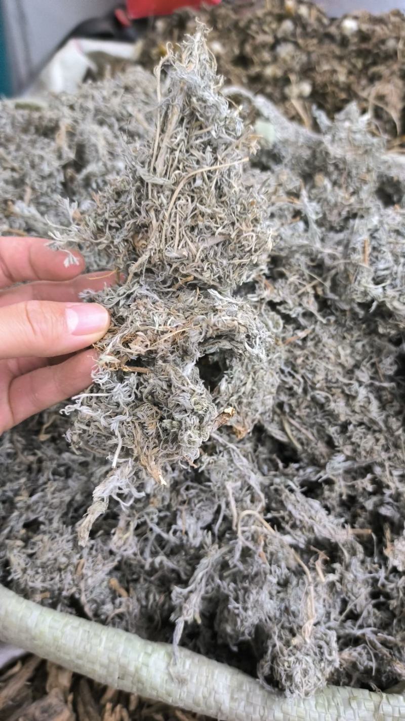 茵陈绵茵陈绒蒿野兰蒿茵陈蒿无硫干净规格齐全
