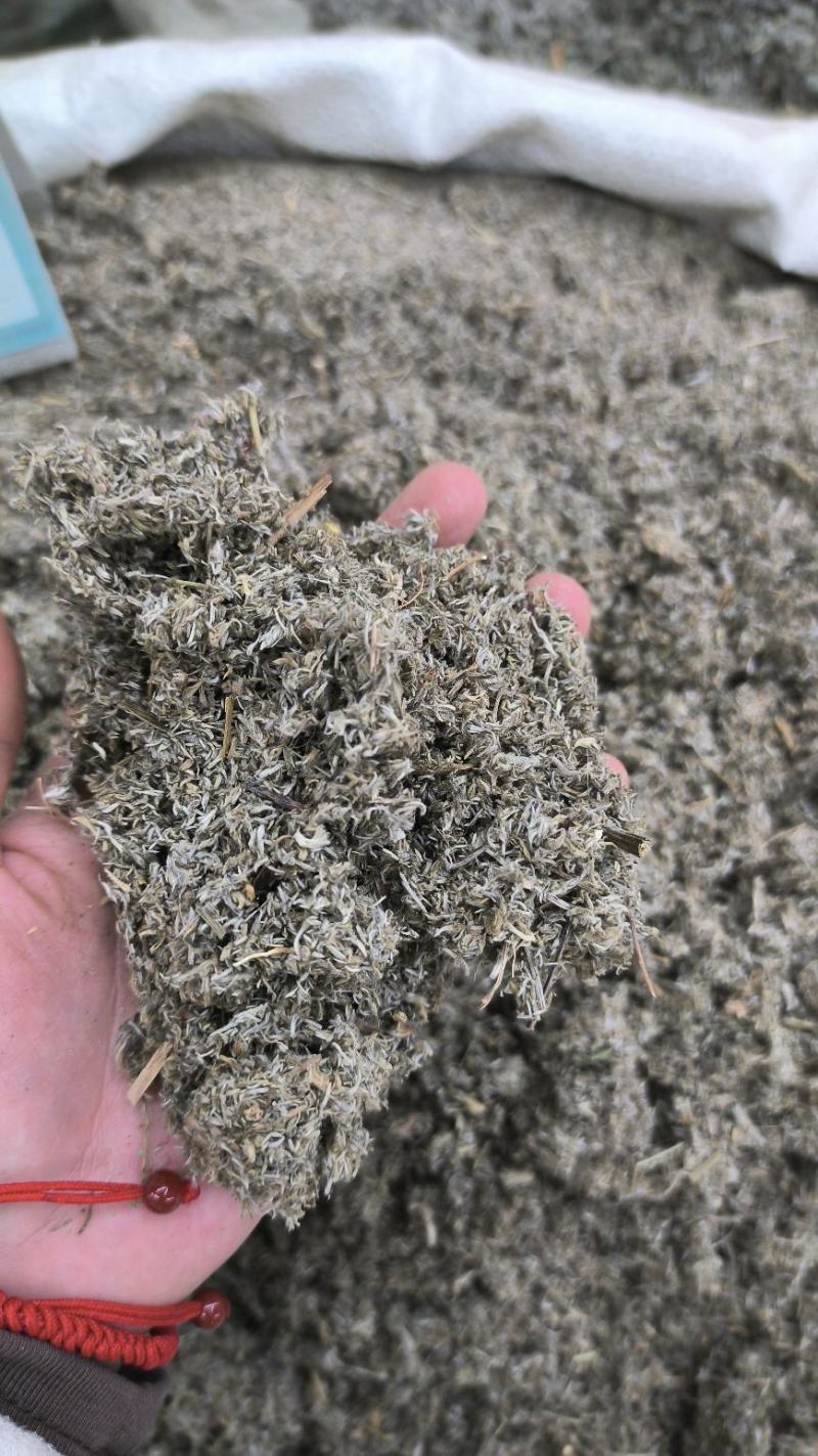茵陈绵茵陈绒蒿野兰蒿茵陈蒿无硫干净规格齐全