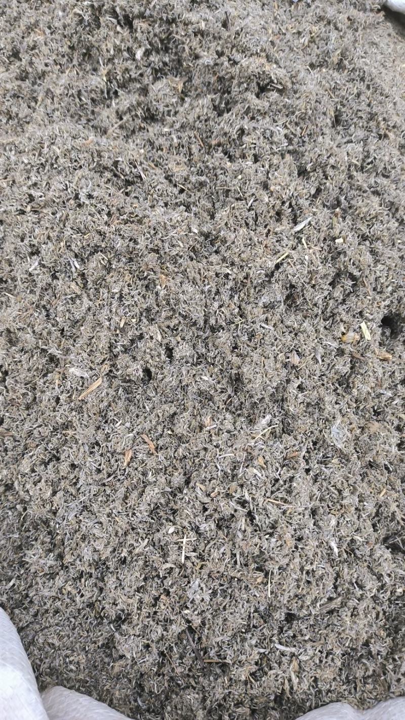 茵陈绵茵陈绒蒿野兰蒿茵陈蒿无硫干净规格齐全