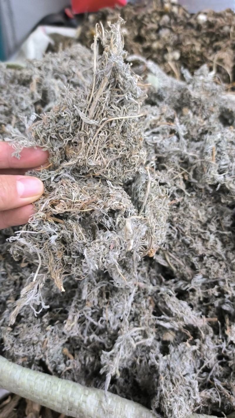 茵陈绵茵陈绒蒿野兰蒿茵陈蒿无硫干净规格齐全