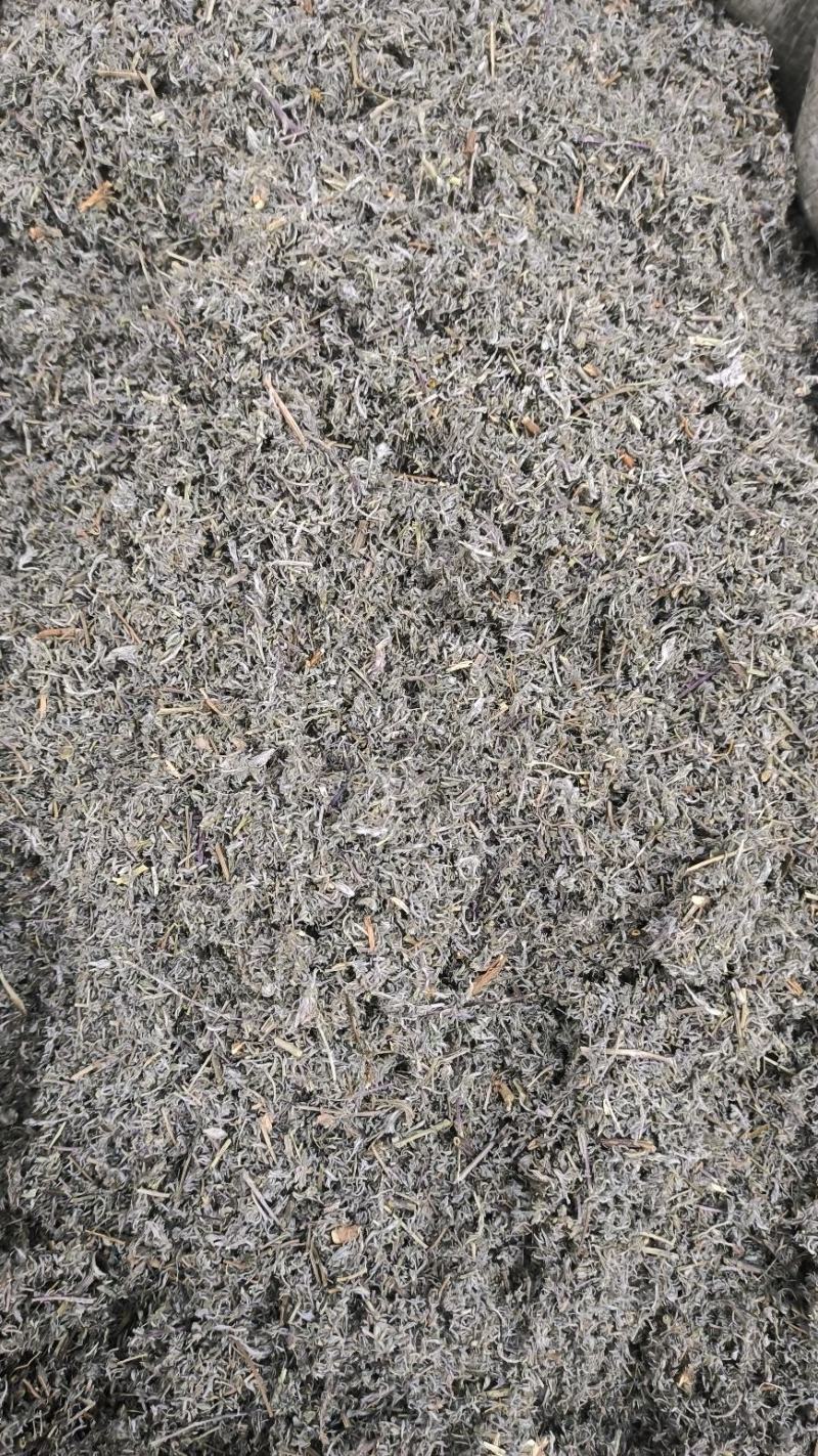 茵陈绵茵陈绒蒿野兰蒿茵陈蒿无硫干净规格齐全