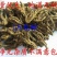 黄连个川黄连中药材野生鸡爪连黄连黄莲个川莲黄