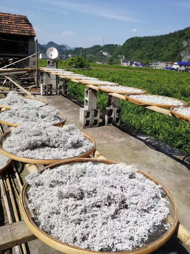 【藤茶】张家界莓茶入口微苦回味甘甜支持一件代发