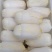 精品娃娃菜小白菜产地直发大量上市量大从优品质保证