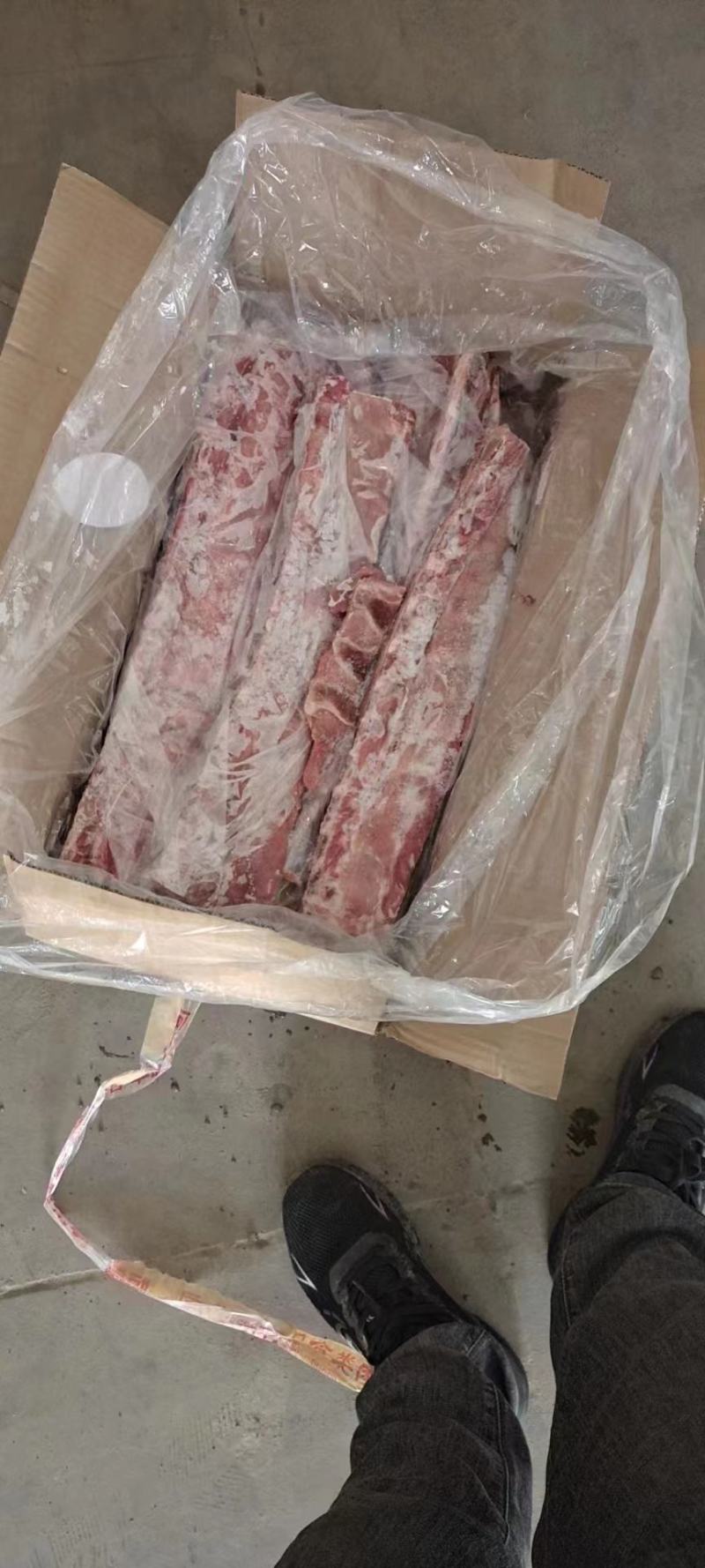 肥猪龙骨，临期一个月