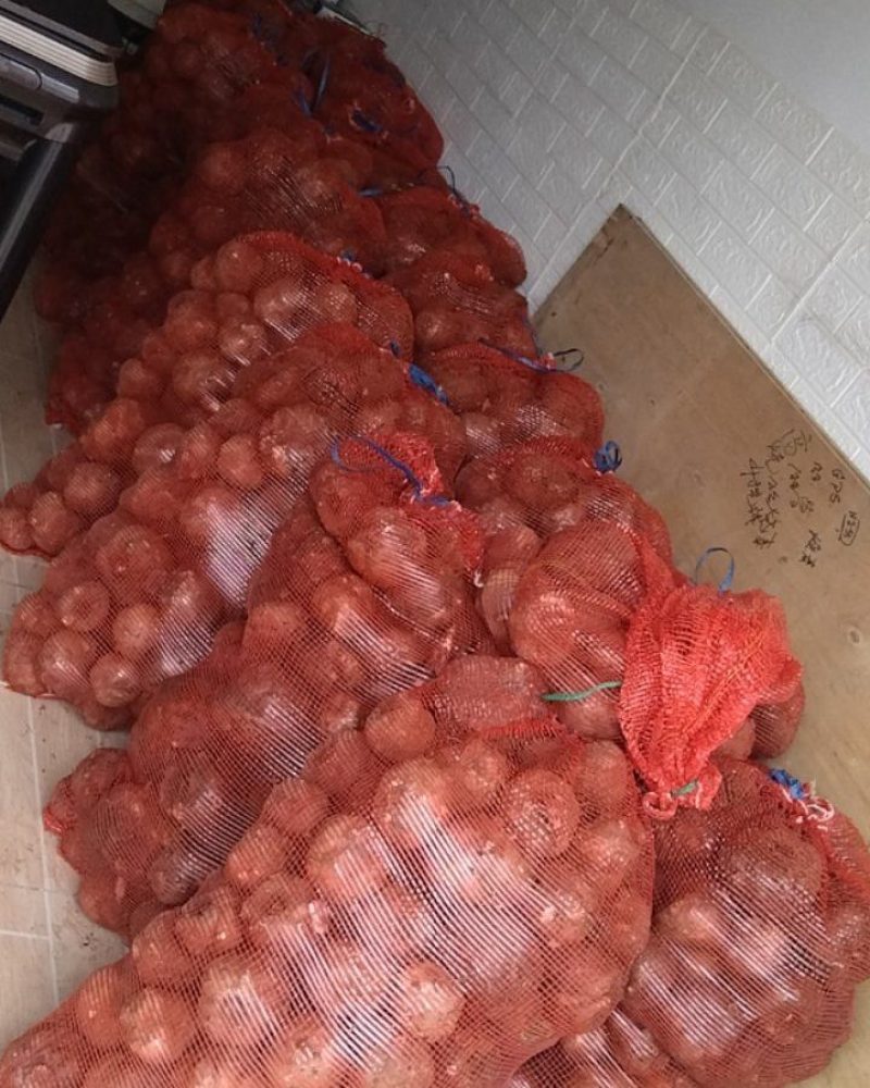 陕西直发土法纯正魔芋豆腐质量保证