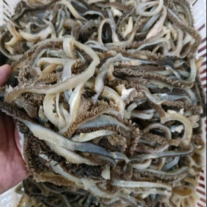 水发羊肚丝羊肚个火锅餐饮食堂食材厂家接单欢迎合作