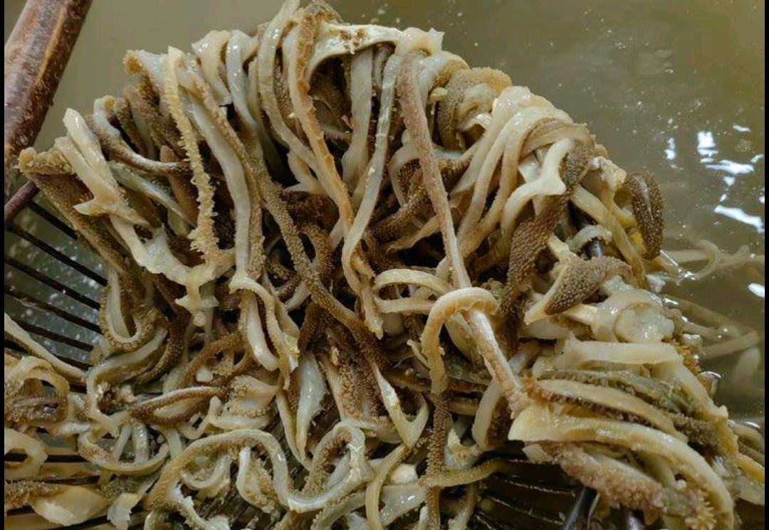 清洗羊肚菌