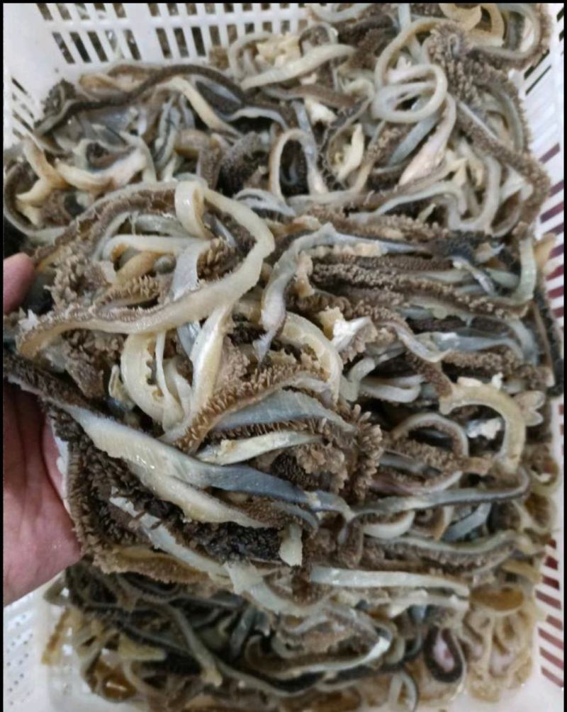 水发羊肚丝羊肚个火锅餐饮食堂食材厂家接单欢迎合作
