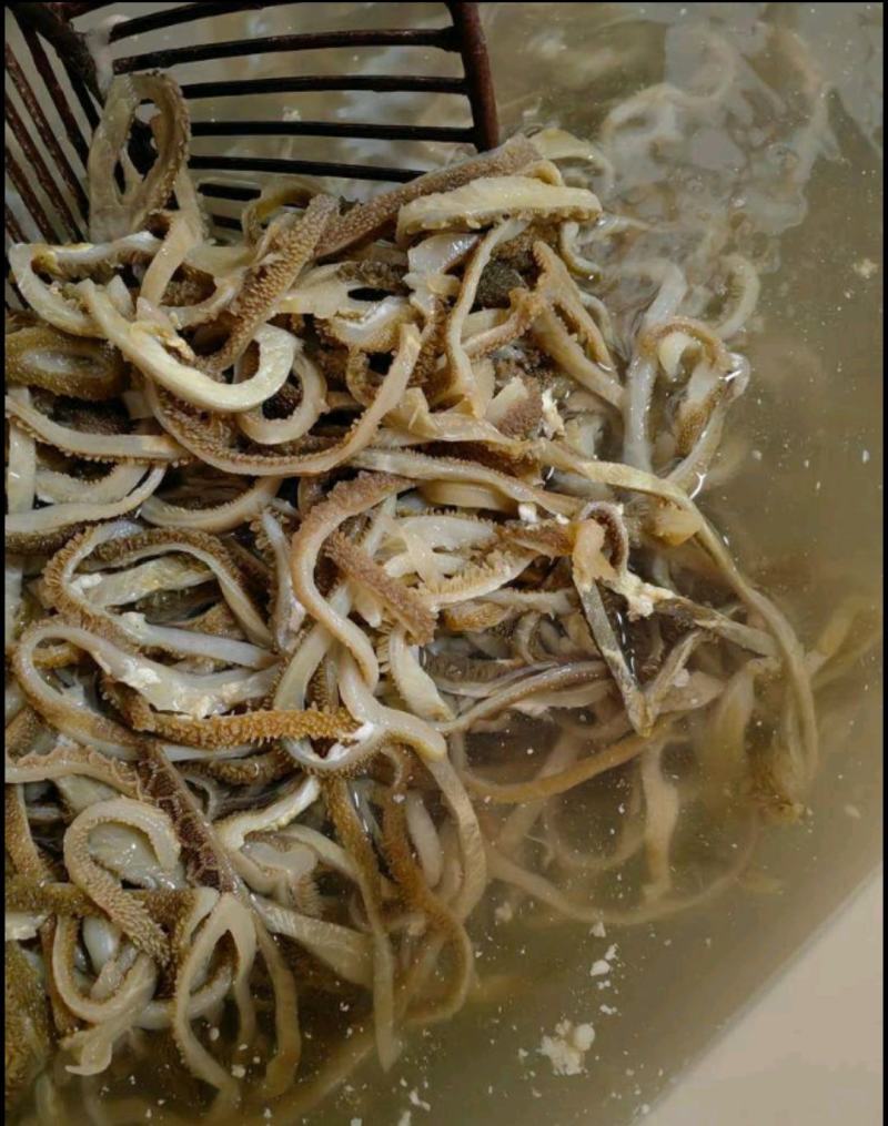 水发羊肚丝羊肚个火锅餐饮食堂食材厂家接单欢迎合作