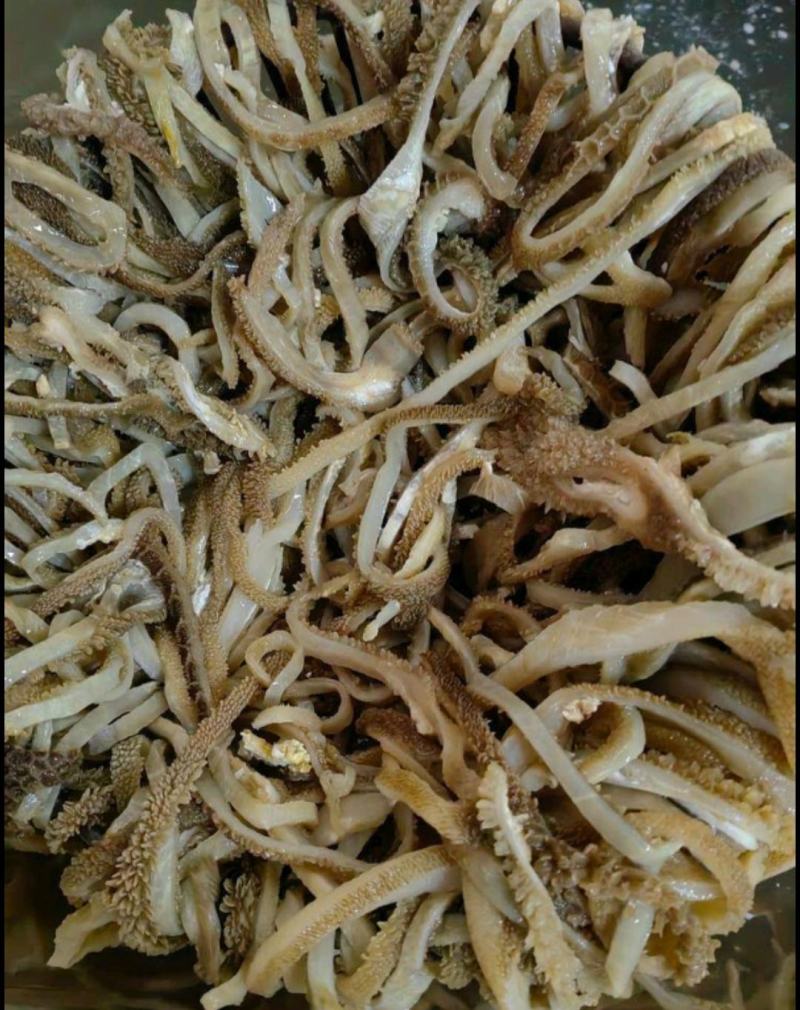 水发羊肚丝羊肚个火锅餐饮食堂食材厂家接单欢迎合作