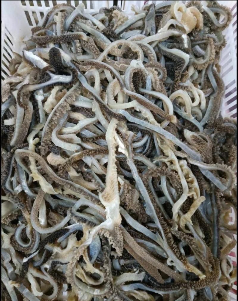 水发羊肚丝羊肚个火锅餐饮食堂食材厂家接单欢迎合作