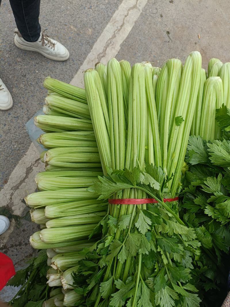 【推荐】精品芹菜西芹大量上市货源充足品质保证