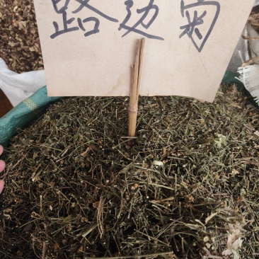 中药材路边菊新货货源充足批发零售欢迎咨询采购