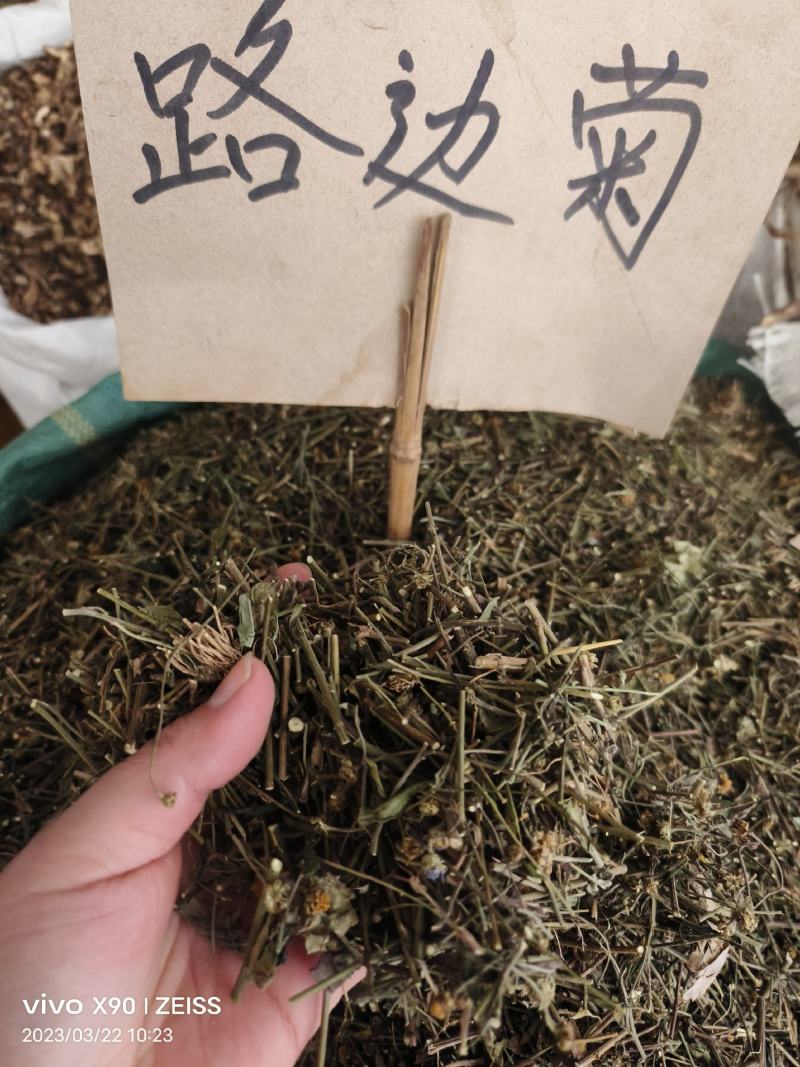 中药材路边菊新货货源充足批发零售欢迎咨询采购