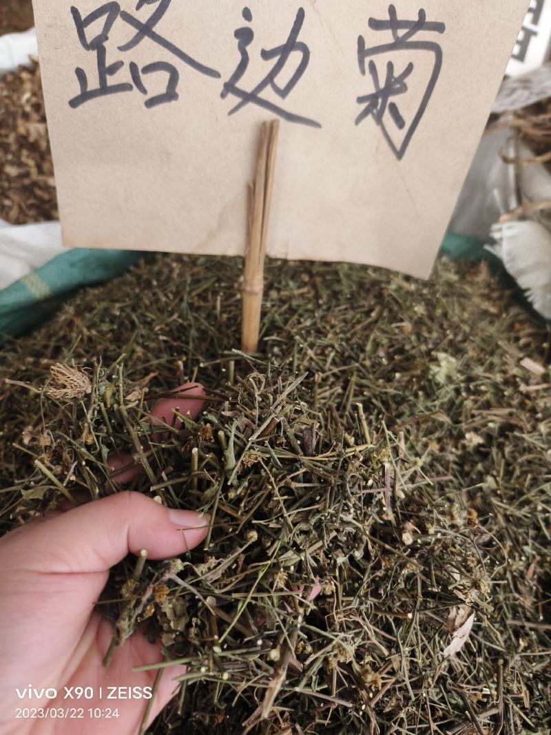中药材路边菊新货货源充足批发零售欢迎咨询采购